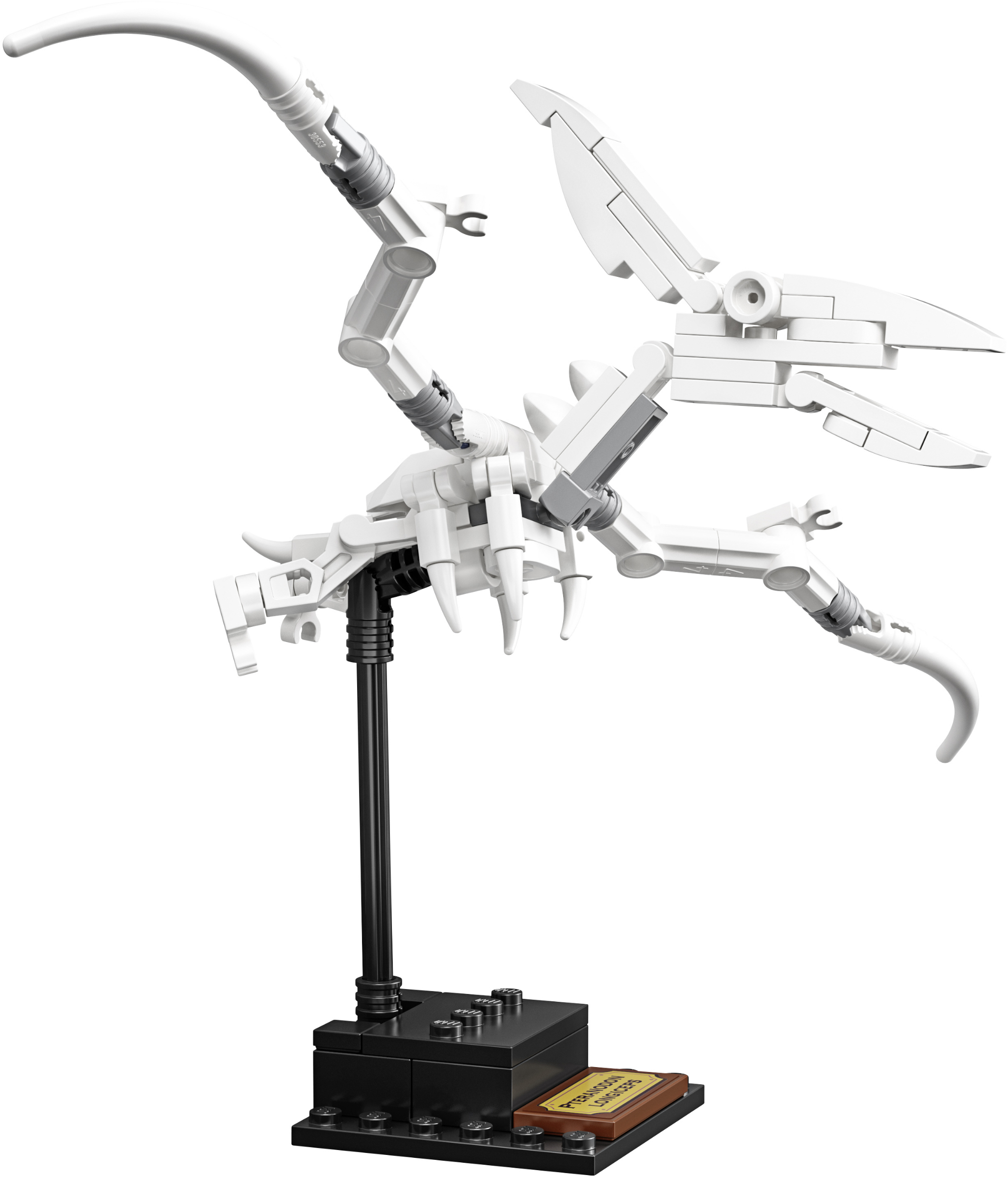 LEGO Ideas 21320 ����� ���������