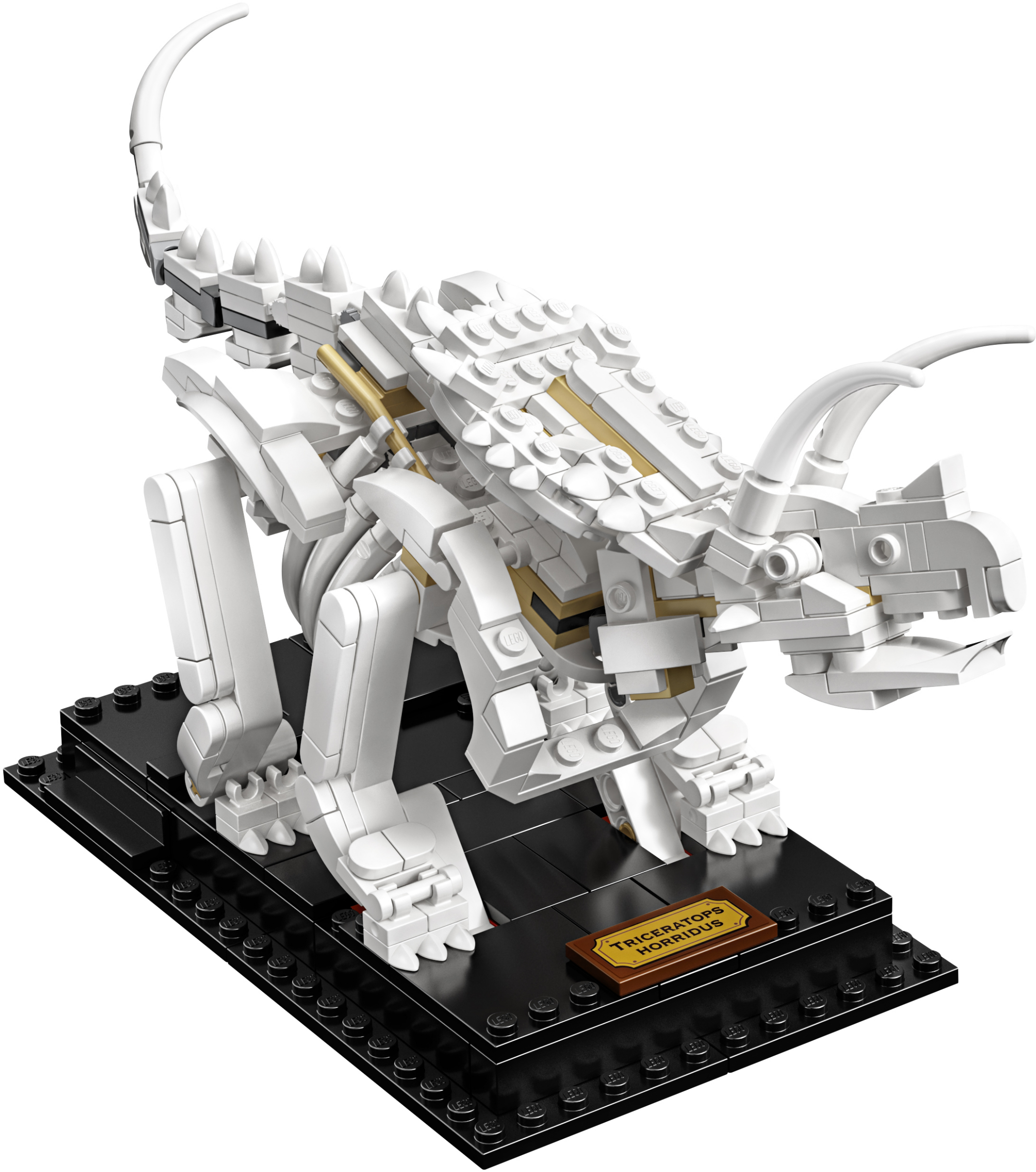 LEGO Ideas 21320 ����� ���������