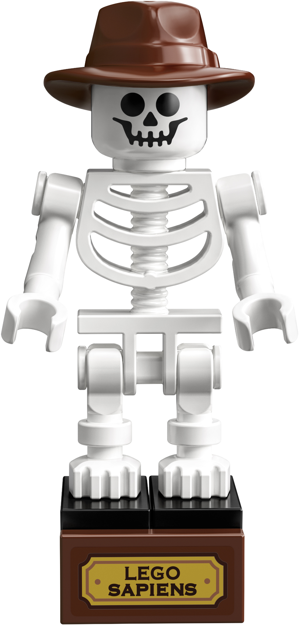 LEGO Ideas 21320 ����� ���������