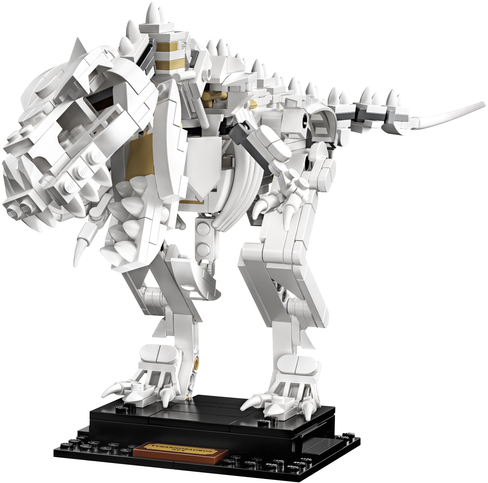 LEGO Ideas 21320 ����� ���������