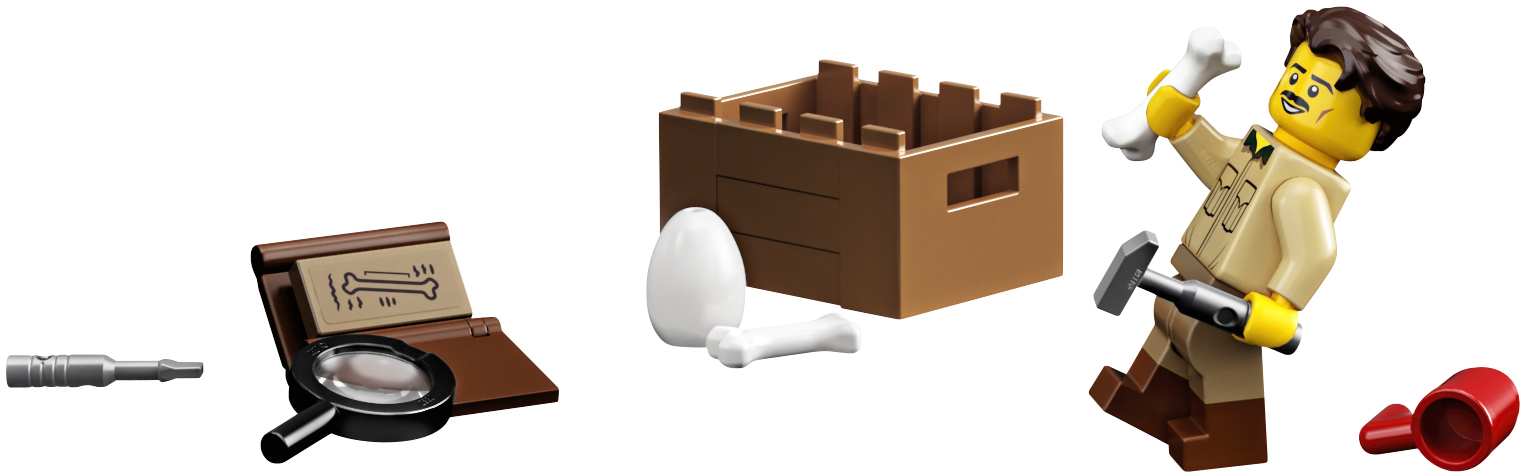 LEGO Ideas 21320 ����� ���������