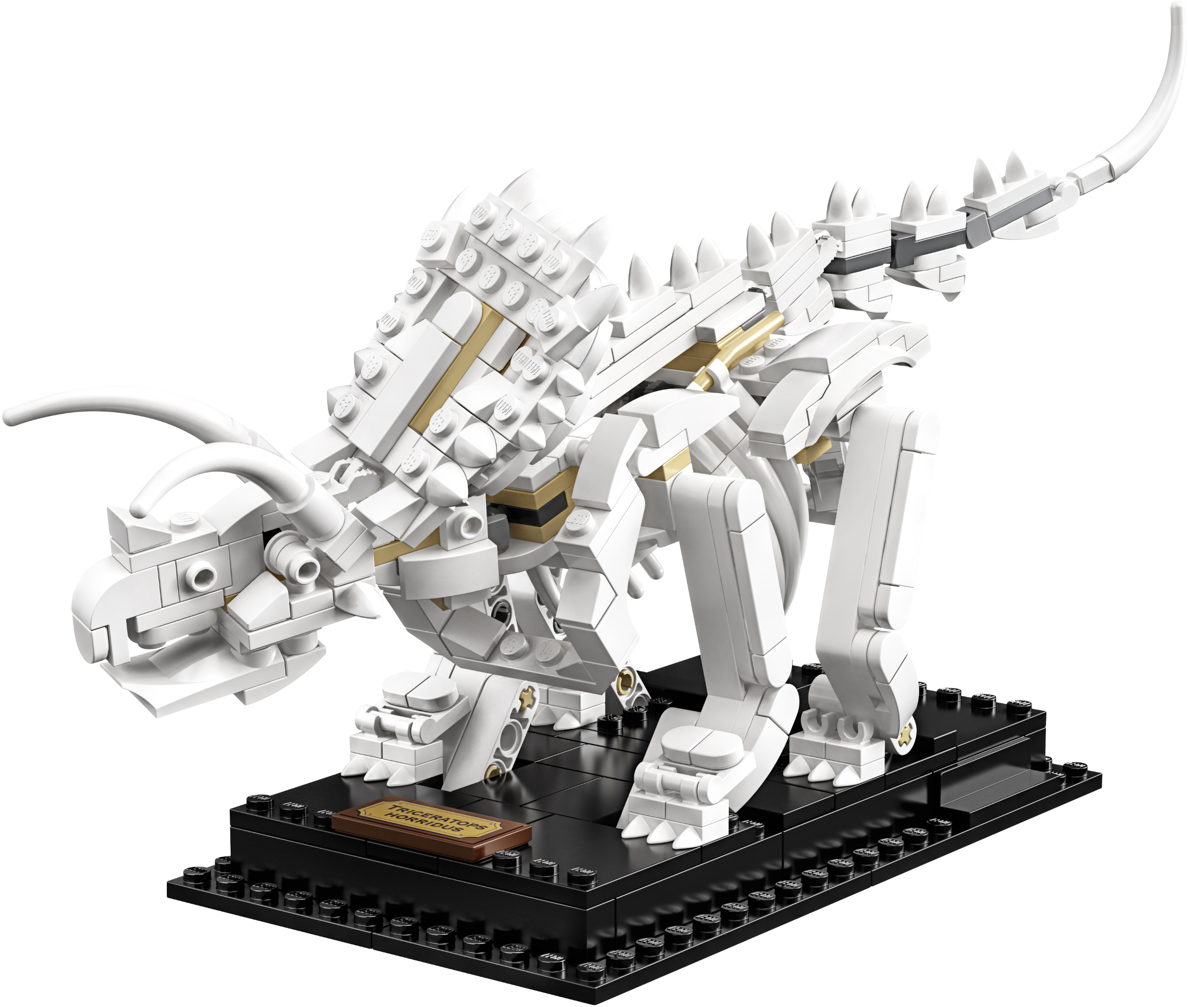 LEGO Ideas 21320 ����� ���������