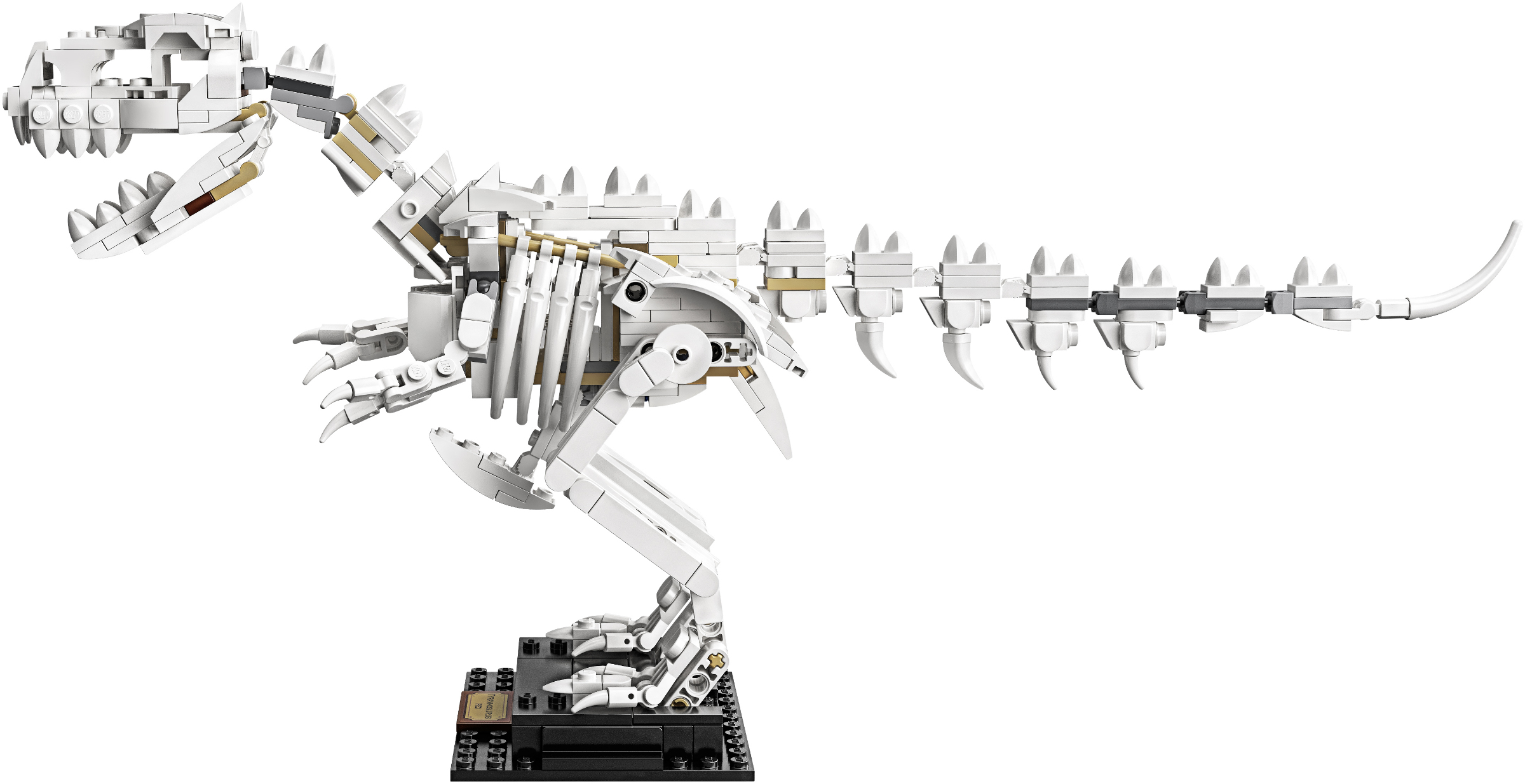 LEGO Ideas 21320 ����� ���������
