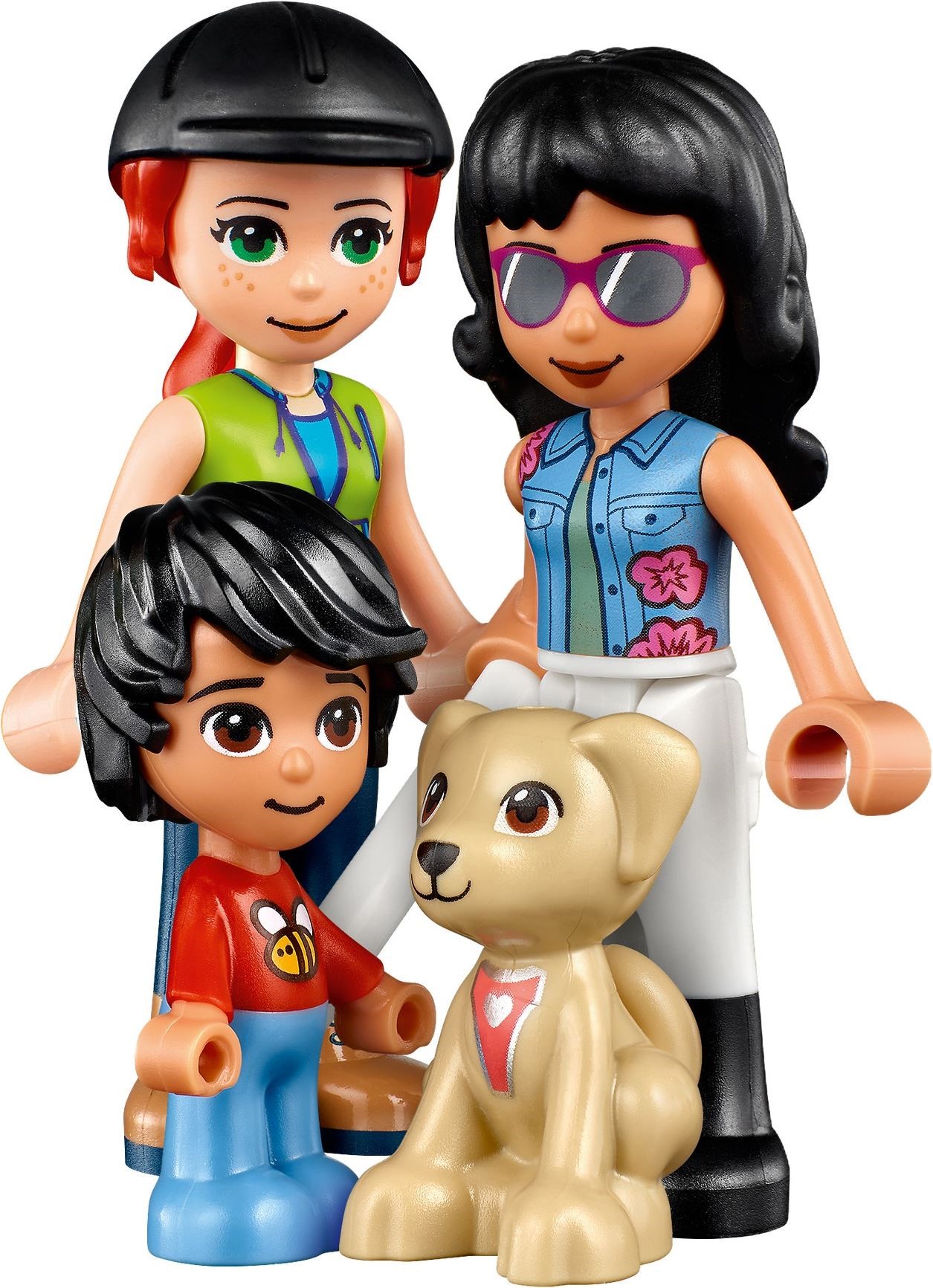 ����������� LEGO 41683 ������ ���� �������� ����