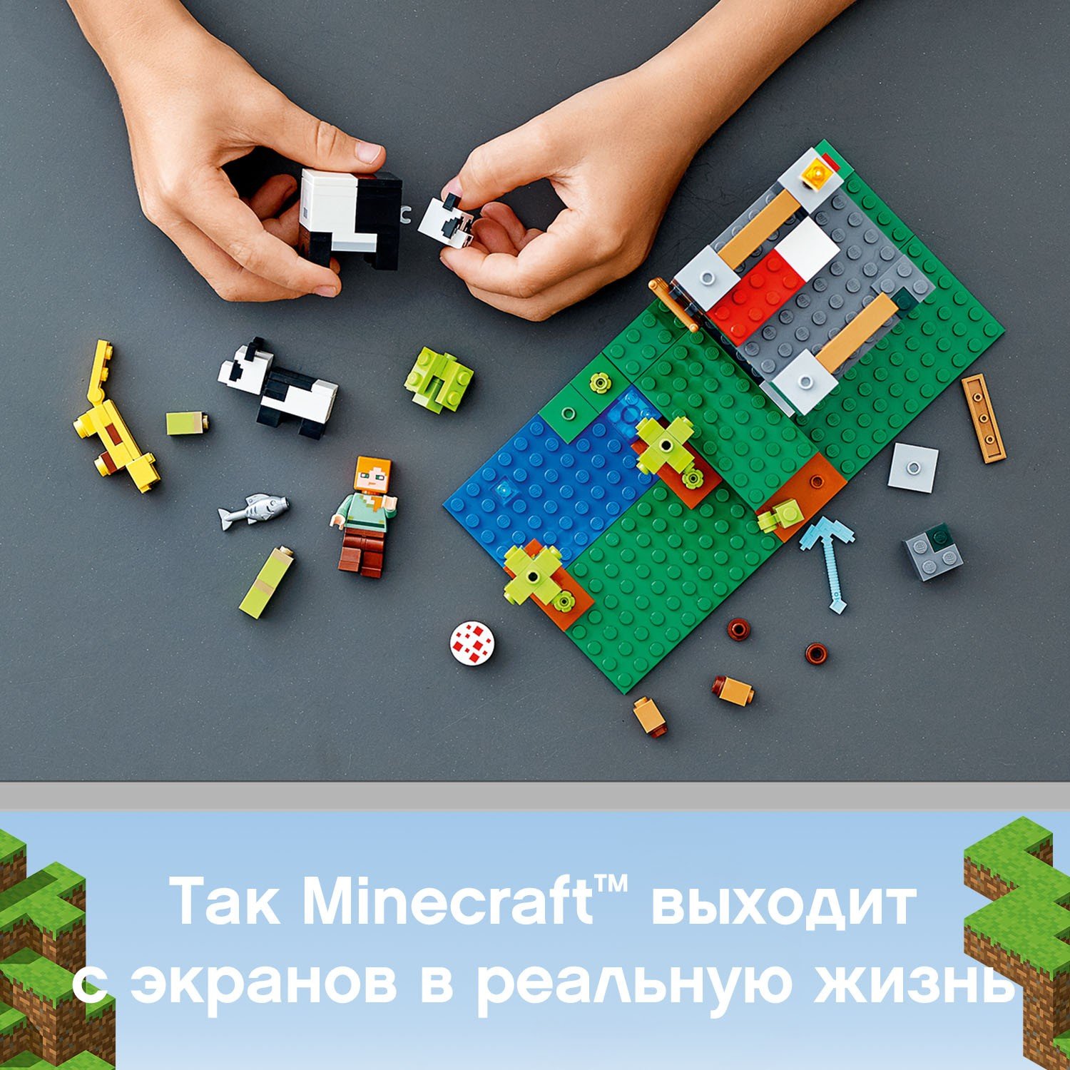 ����������� LEGO 21158 �������� ����