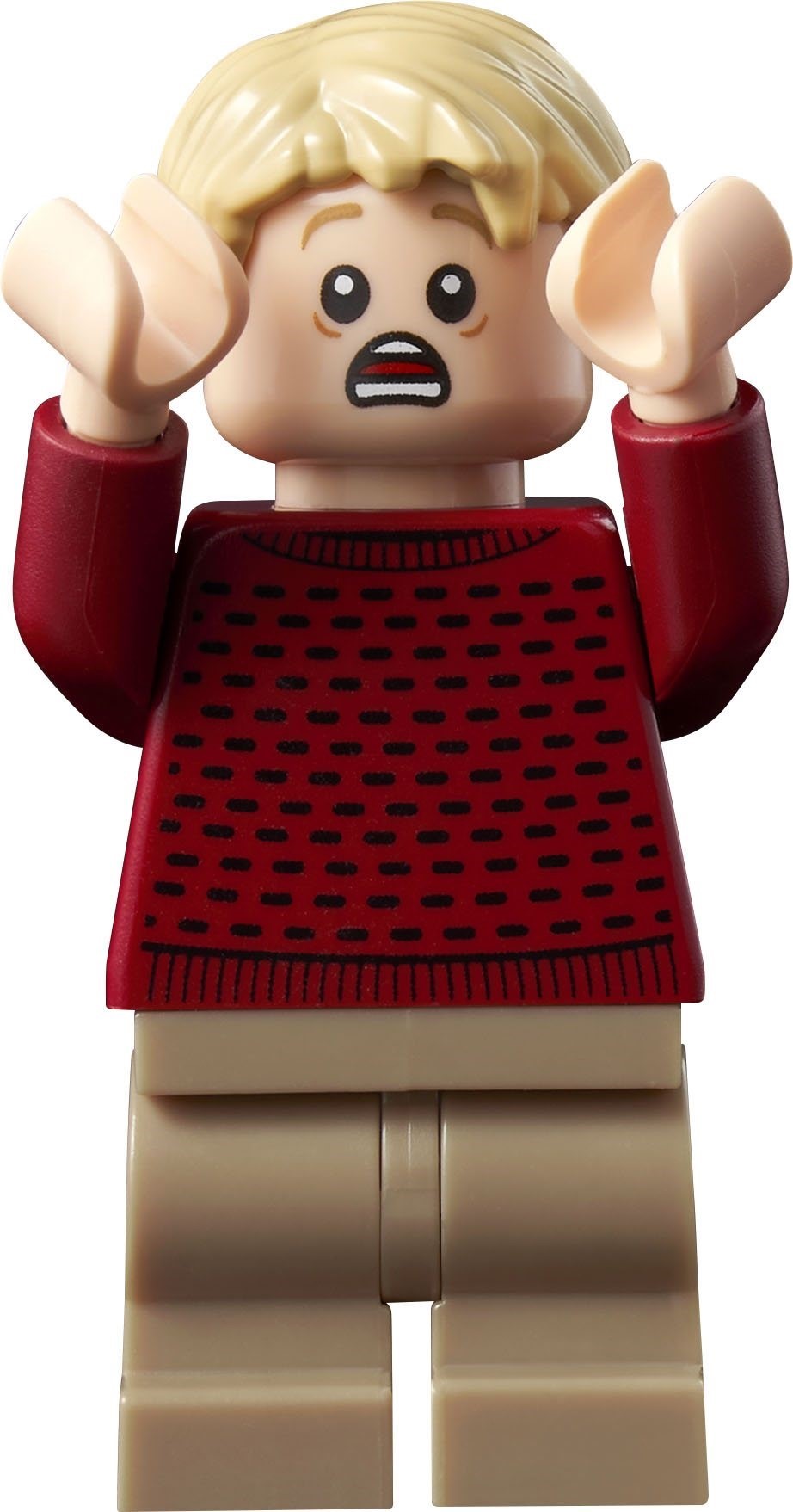 ����������� LEGO 21330 ���� ����