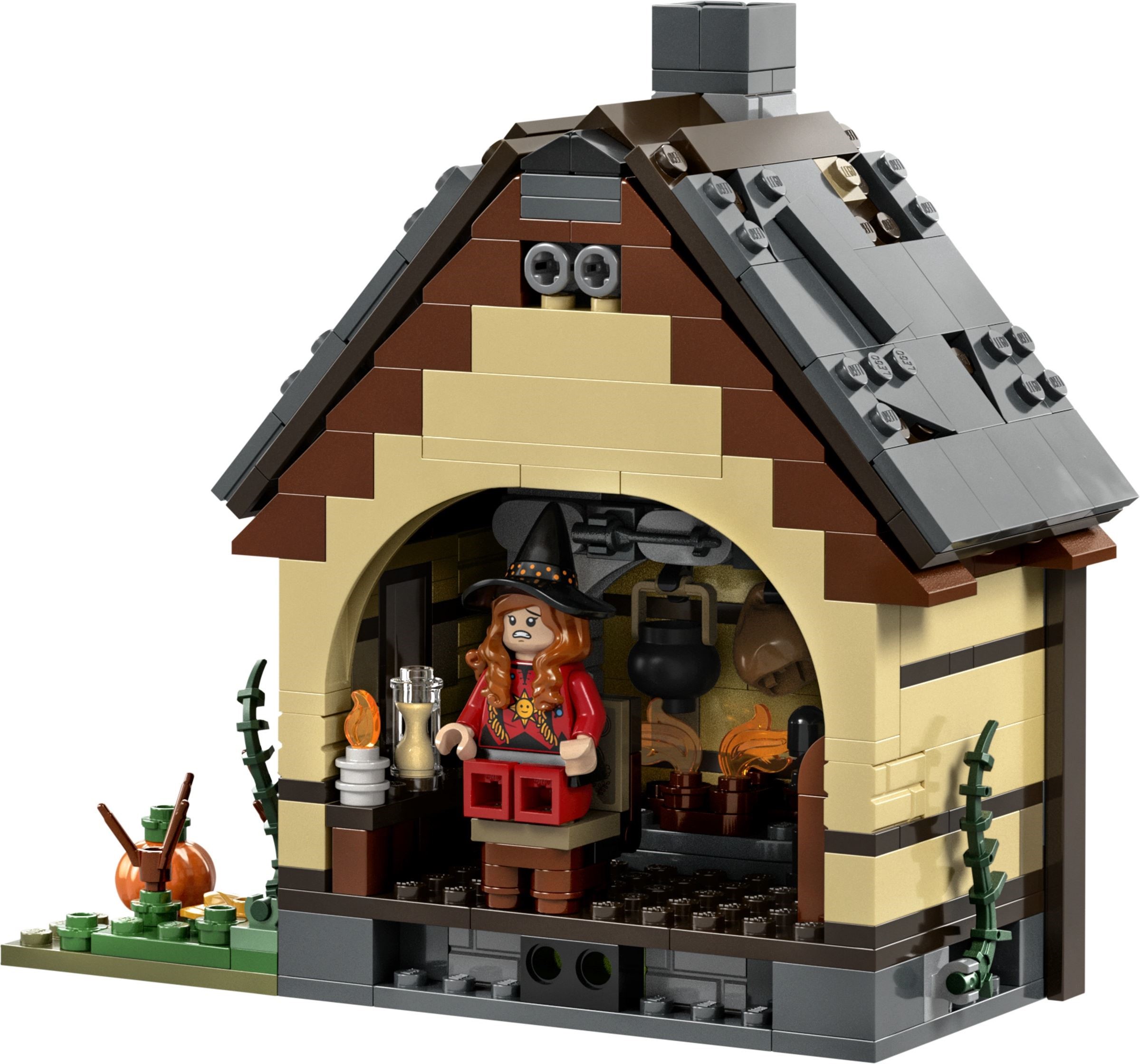����������� LEGO 21341 Ideas ������ �����-�����: ������� ������ ���������
