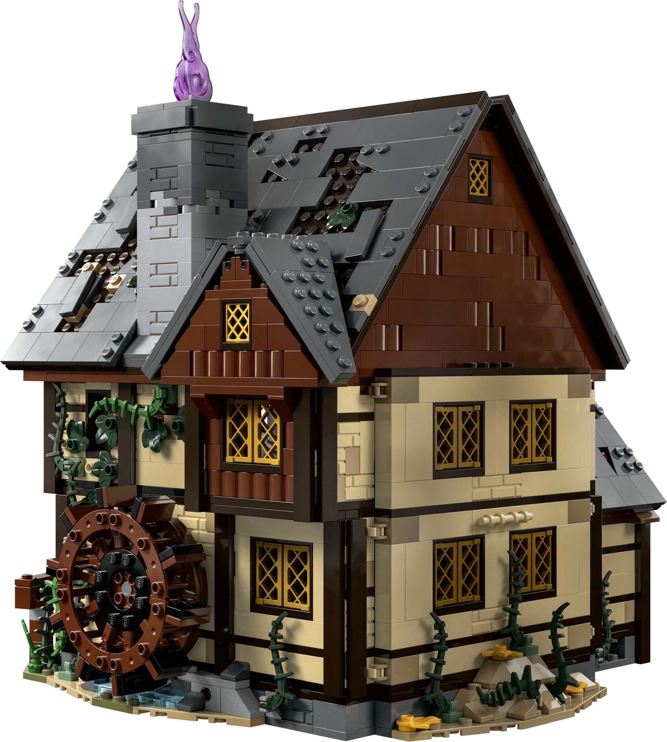 ����������� LEGO 21341 Ideas ������ �����-�����: ������� ������ ���������