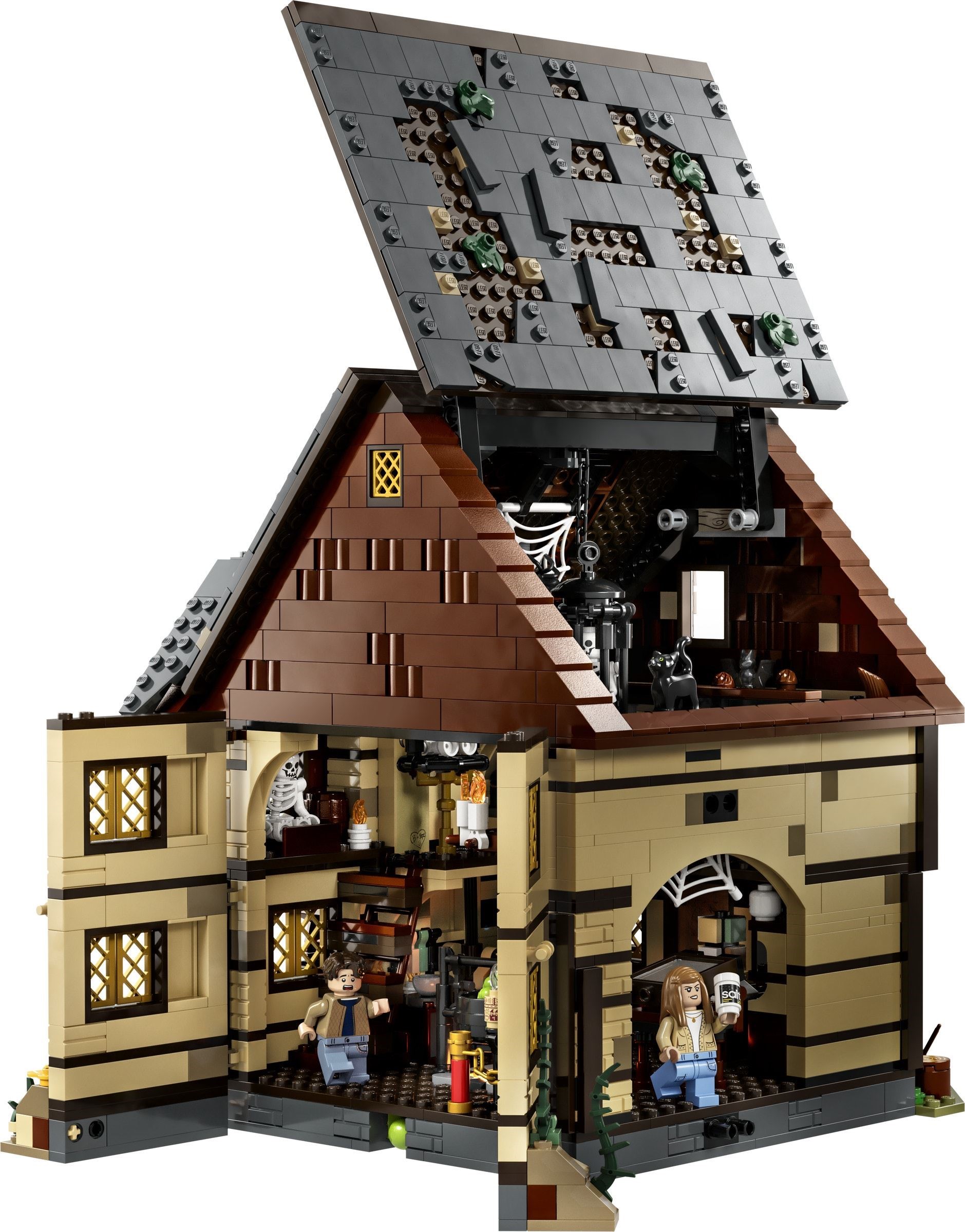 ����������� LEGO 21341 Ideas ������ �����-�����: ������� ������ ���������