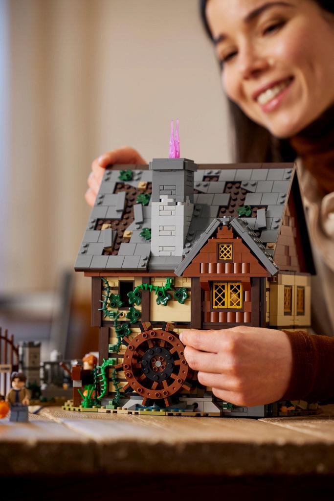 ����������� LEGO 21341 Ideas ������ �����-�����: ������� ������ ���������
