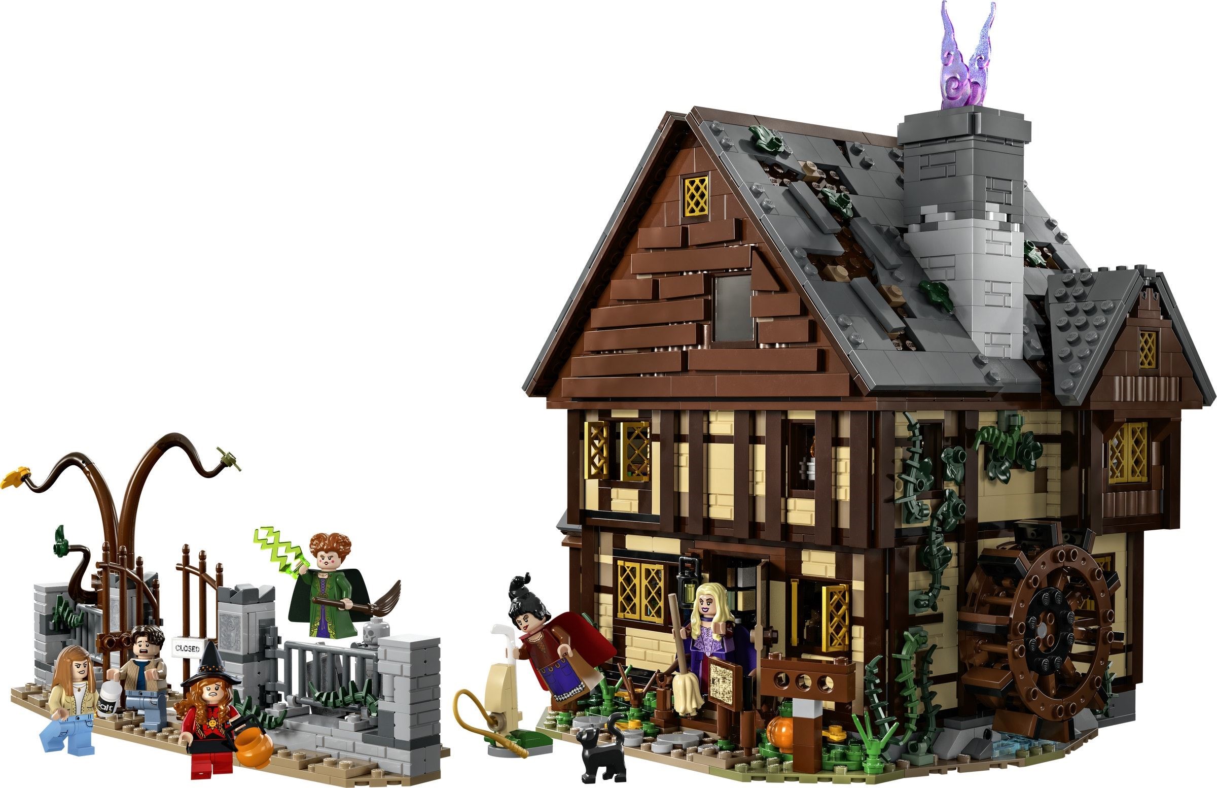 ����������� LEGO 21341 Ideas ������ �����-�����: ������� ������ ���������