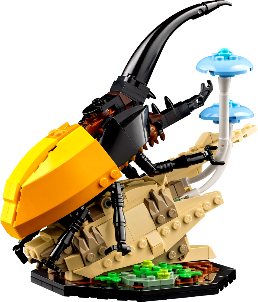 ����������� LEGO 21342 Ideas - ��������� ���������