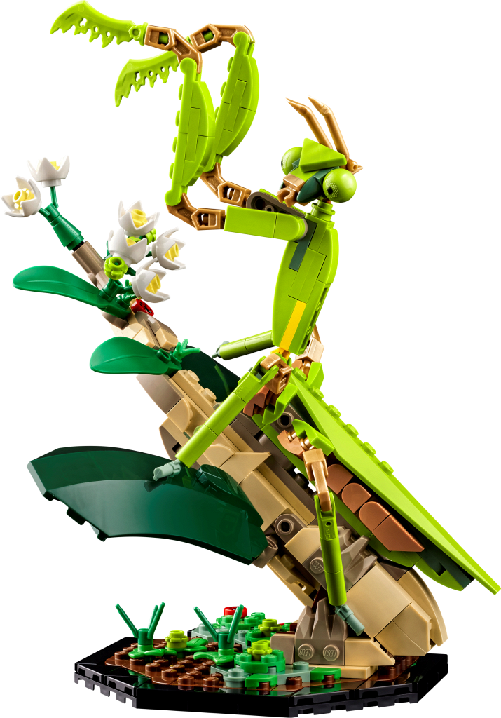 ����������� LEGO 21342 Ideas - ��������� ���������