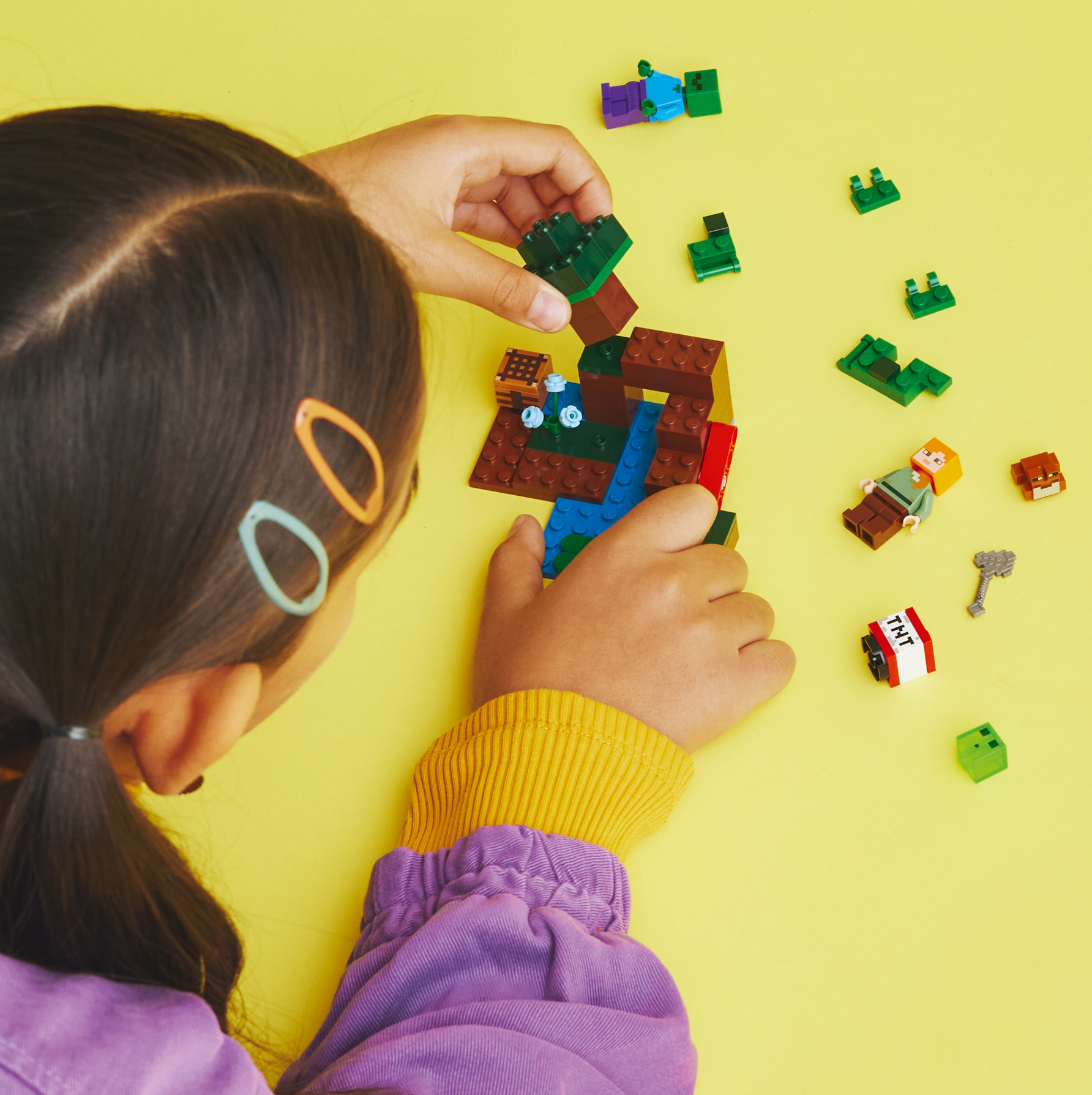 ����������� LEGO 21240 �������� �����������