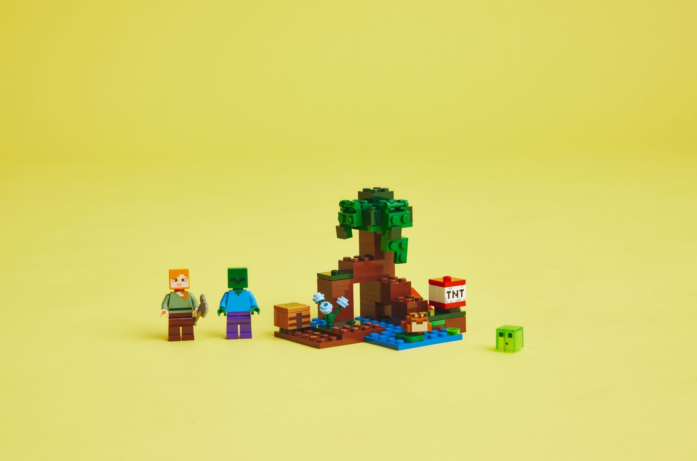 ����������� LEGO 21240 �������� �����������