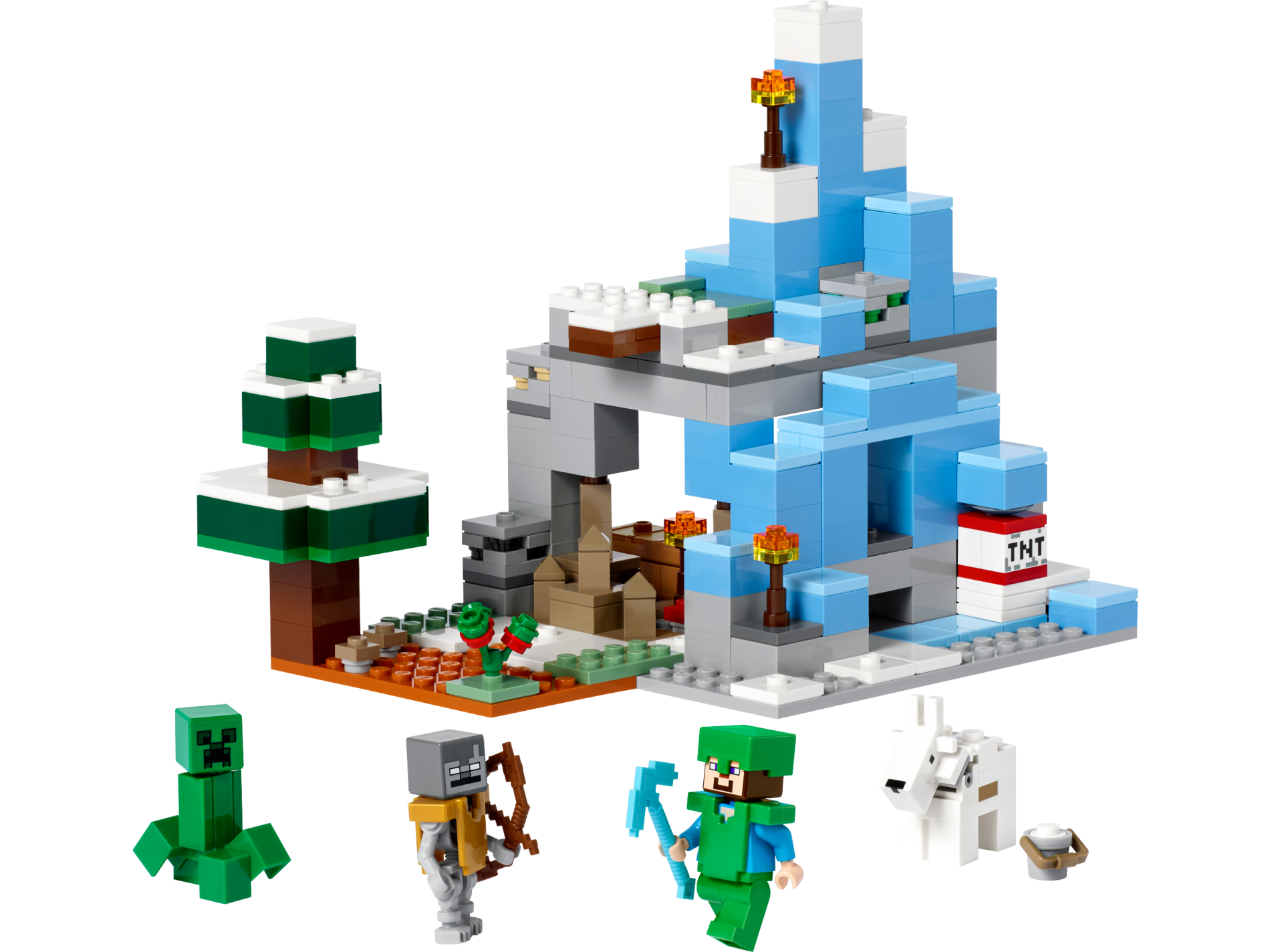 LEGO 21243 ������� �������