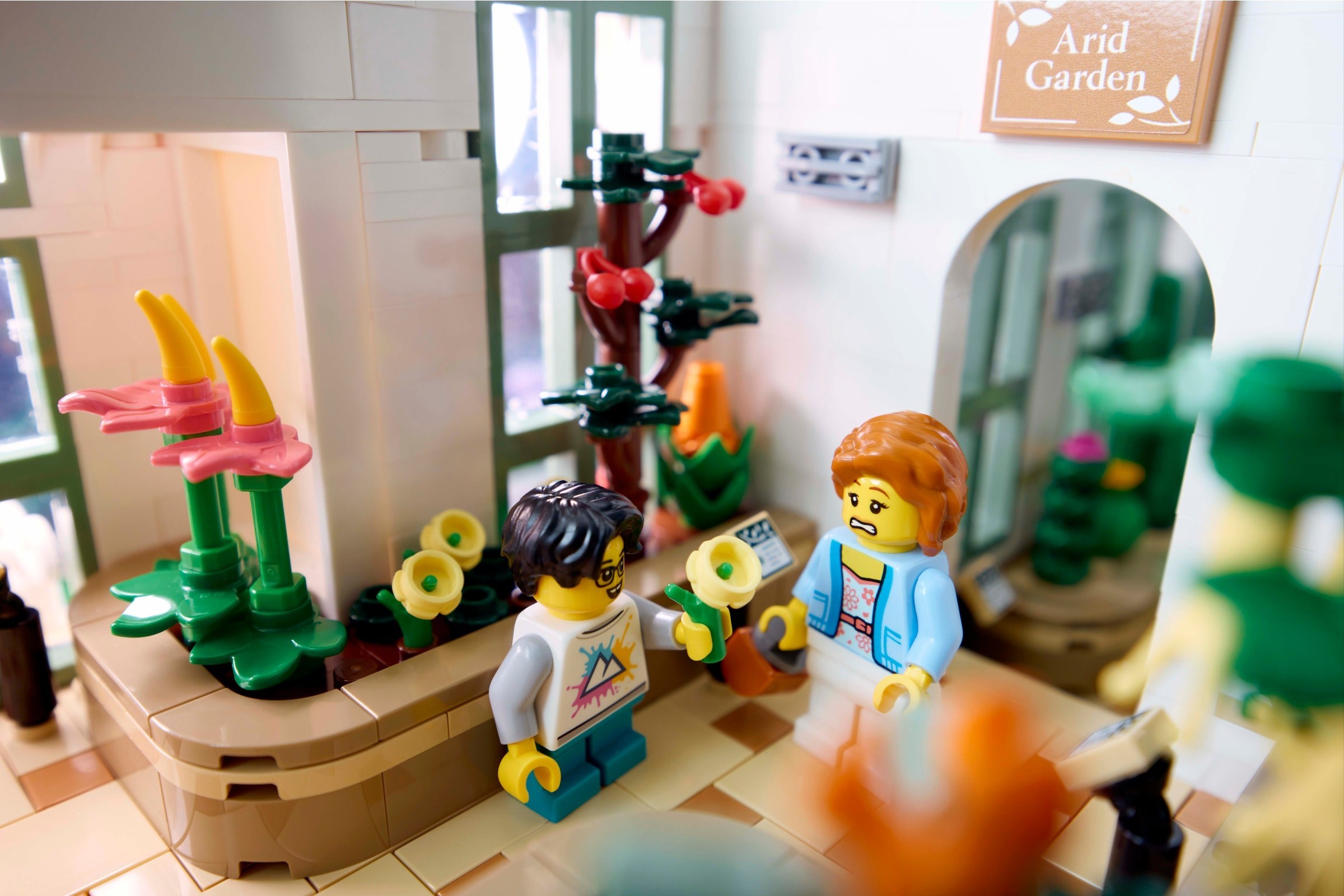 ����������� LEGO 21353 ������������ ���
