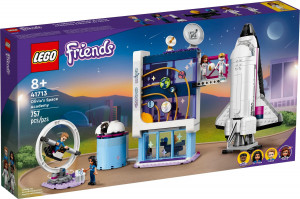 ����������� LEGO 41713 ����������� �������� ������