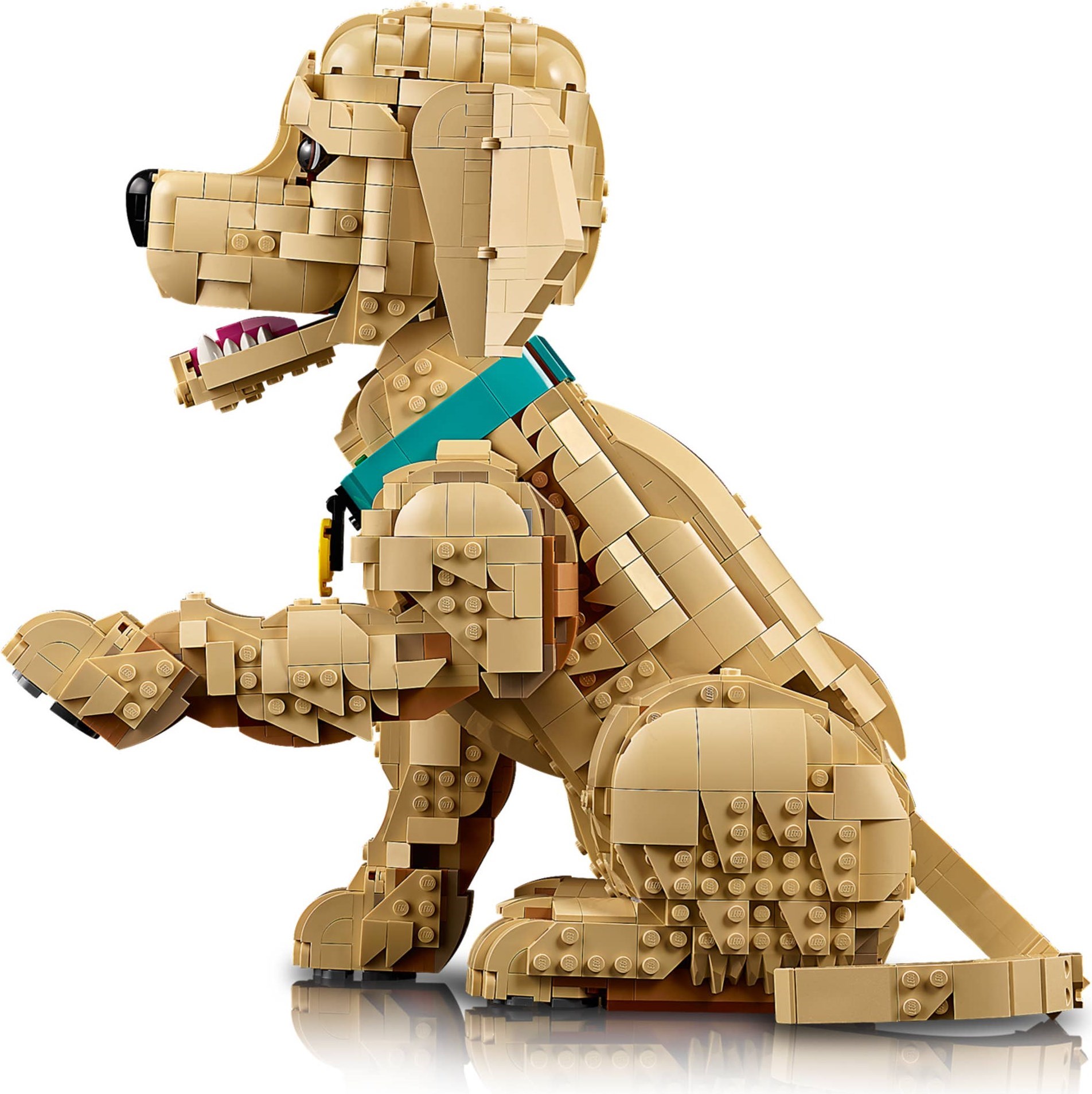 ����������� LEGO 11384 - ���� ����� ����������� ���������