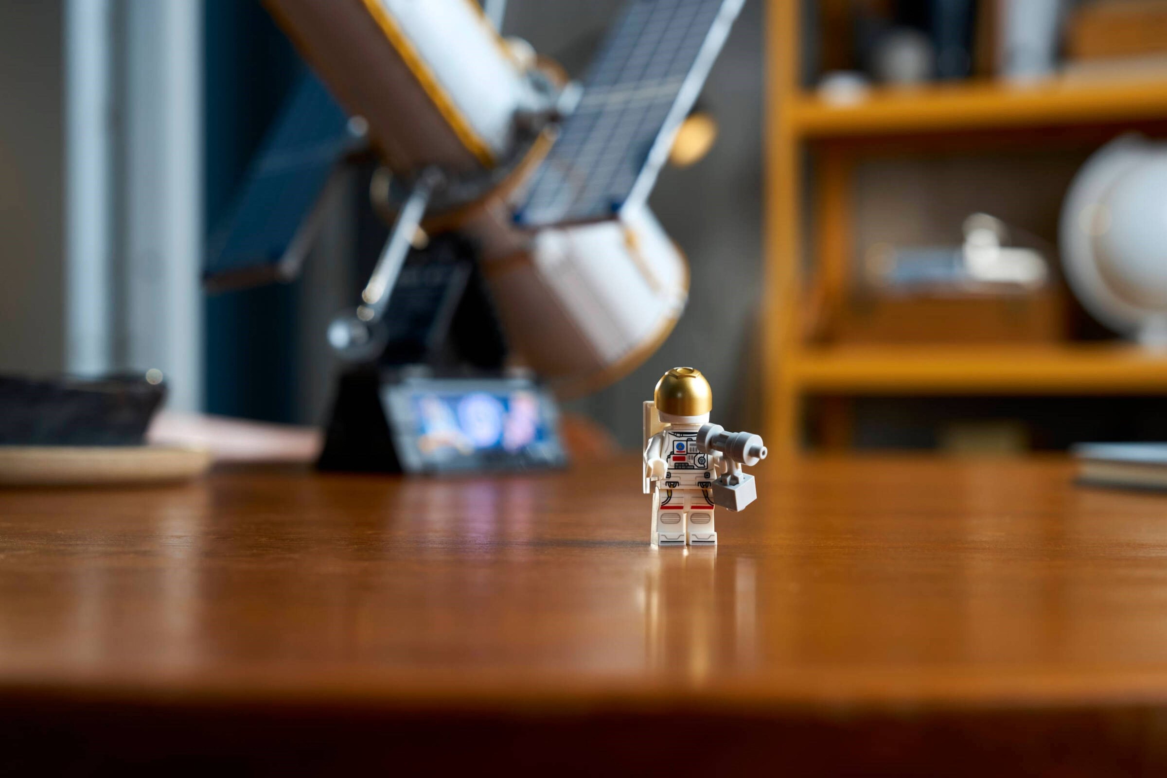 ����������� LEGO 11382 - ���� ����������� �������� ������