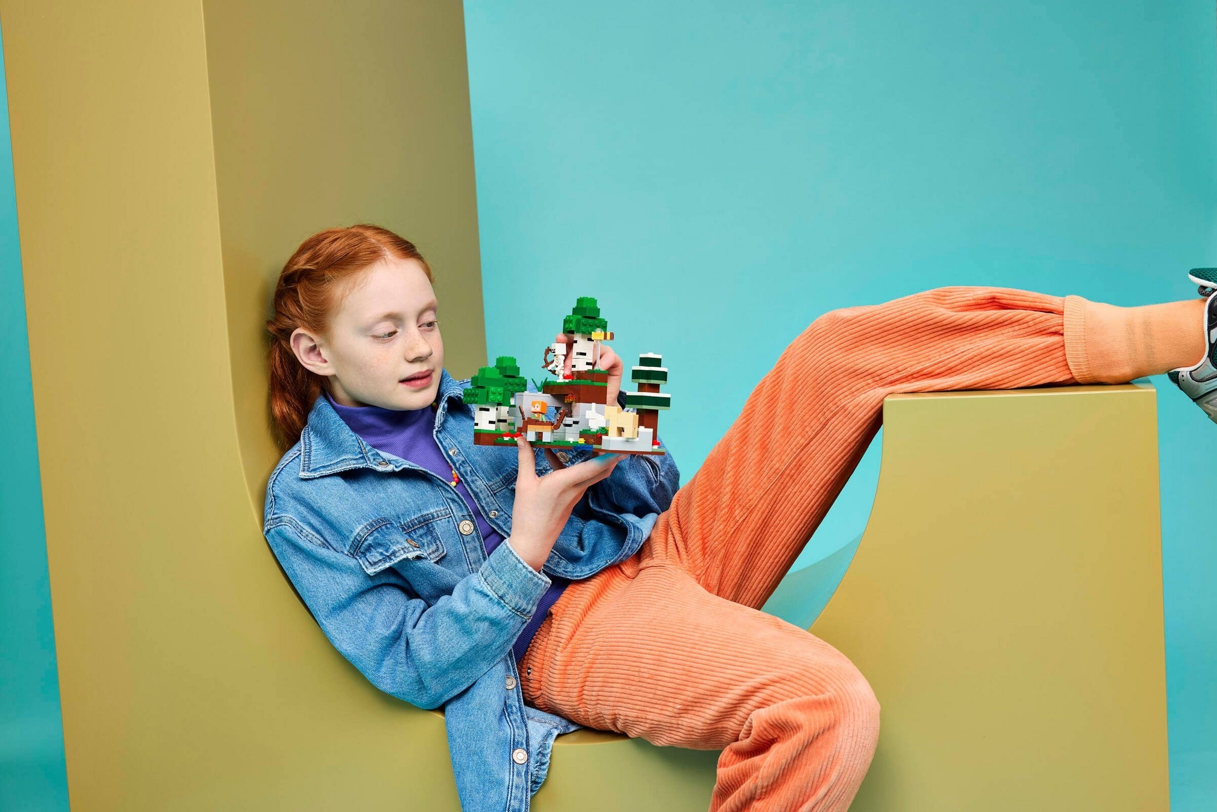 ����������� LEGO 21593 - ���� ����������� ������ ����, 301 ������
